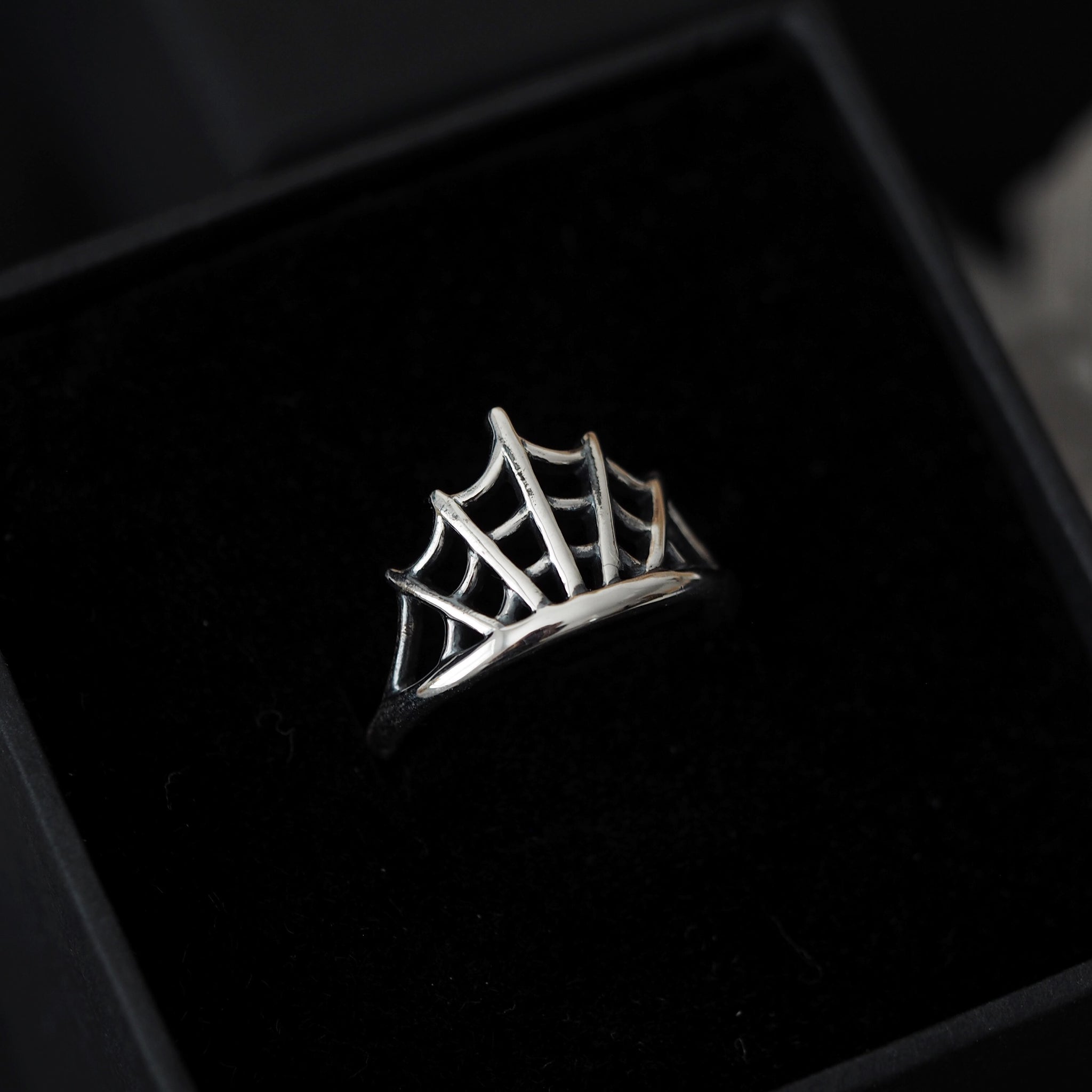 Sterling Silver Cobweb Ring – Empty Casket